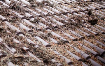 Pillowell roof cleaning companies